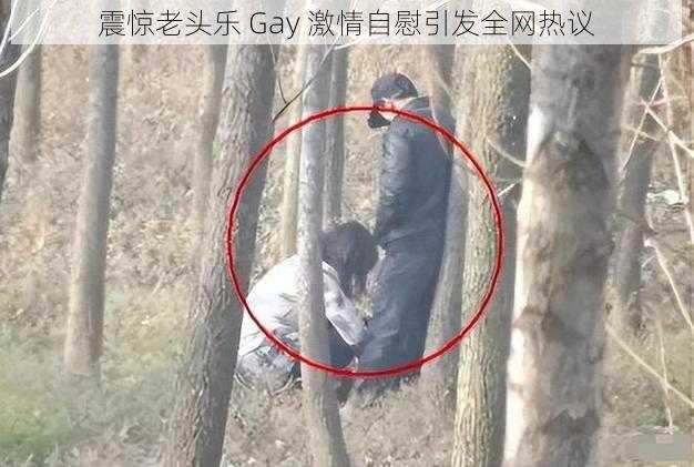 震惊老头乐 Gay 激情自慰引发全网热议