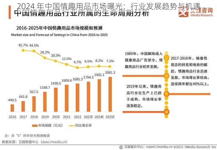 2024 年中国情趣用品市场曝光：行业发展趋势与机遇