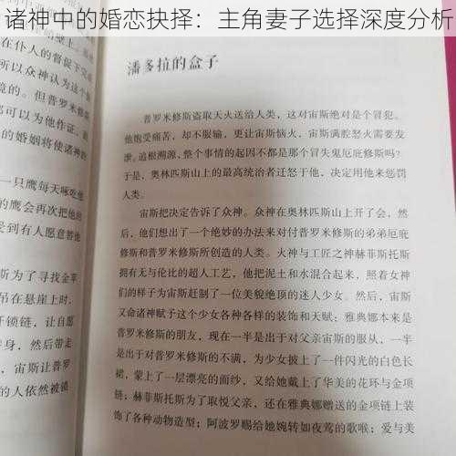 诸神中的婚恋抉择：主角妻子选择深度分析