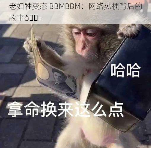 老妇牲变态 BBMBBM：网络热梗背后的故事😱