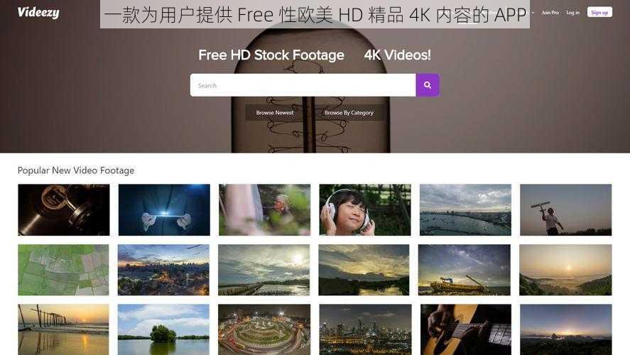 一款为用户提供 Free 性欧美 HD 精品 4K 内容的 APP