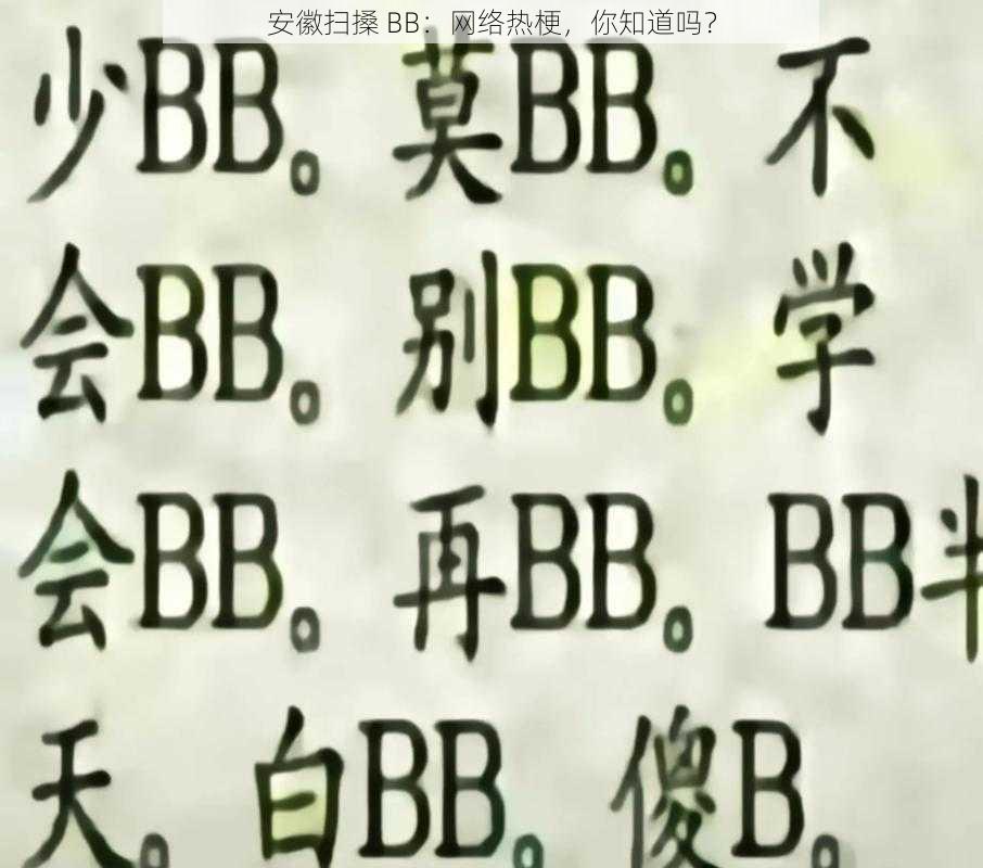 安徽扫搡 BB：网络热梗，你知道吗？