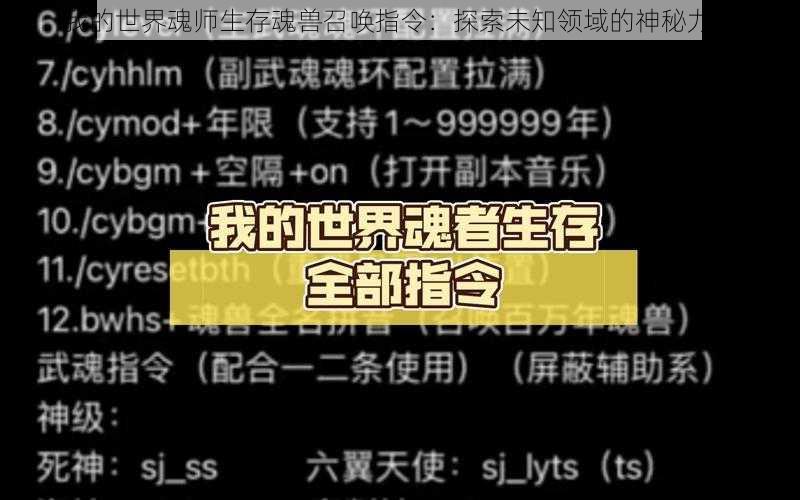 我的世界魂师生存魂兽召唤指令：探索未知领域的神秘力量