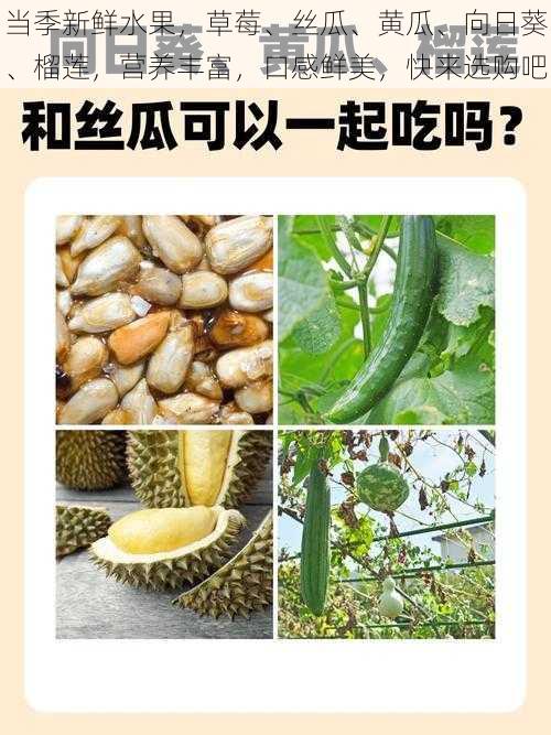 当季新鲜水果，草莓、丝瓜、黄瓜、向日葵、榴莲，营养丰富，口感鲜美，快来选购吧