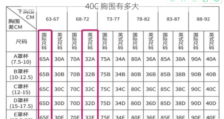 40C 胸围有多大