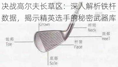 决战高尔夫长草区：深入解析铁杆数据，揭示精英选手的秘密武器库