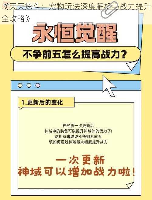 《天天炫斗：宠物玩法深度解析与战力提升全攻略》