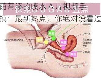 荫蒂添的喷水 A 片视频手摸：最新热点，你绝对没看过