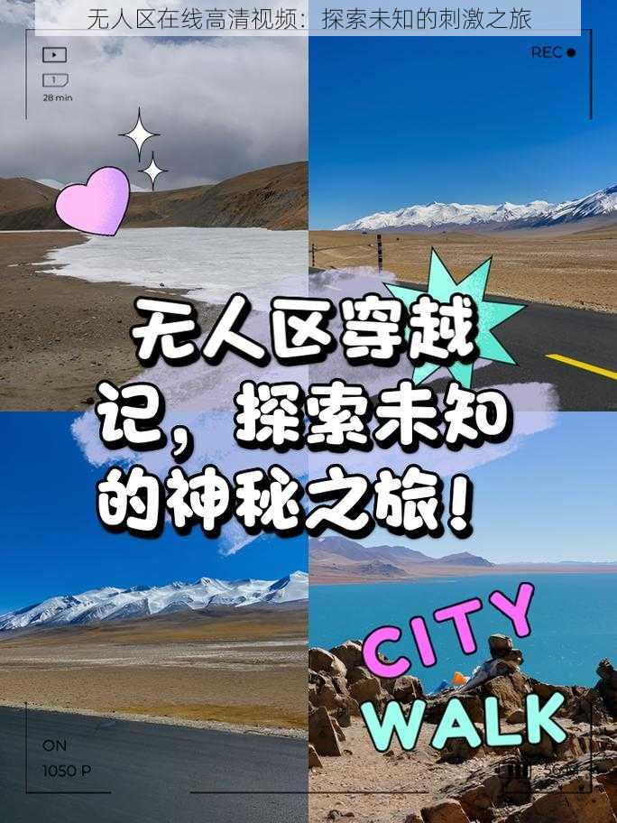 无人区在线高清视频：探索未知的刺激之旅