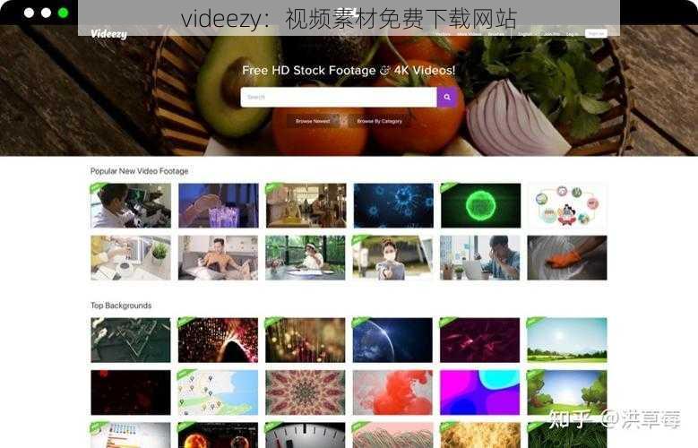 videezy：视频素材免费下载网站