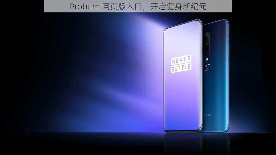 Proburn 网页版入口，开启健身新纪元