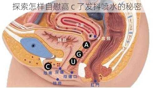 探索怎样自慰高 c 了发抖喷水的秘密