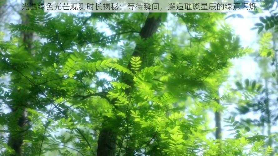 光遇绿色光芒观测时长揭秘：等待瞬间，邂逅璀璨星辰的绿意闪烁