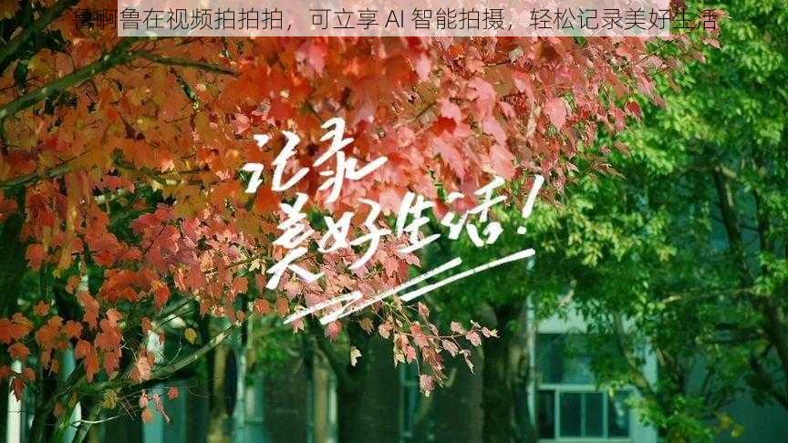 鲁啊鲁在视频拍拍拍，可立享 AI 智能拍摄，轻松记录美好生活