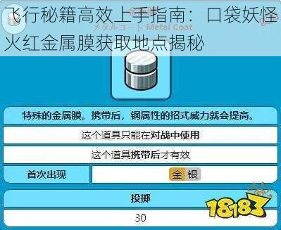 飞行秘籍高效上手指南：口袋妖怪火红金属膜获取地点揭秘