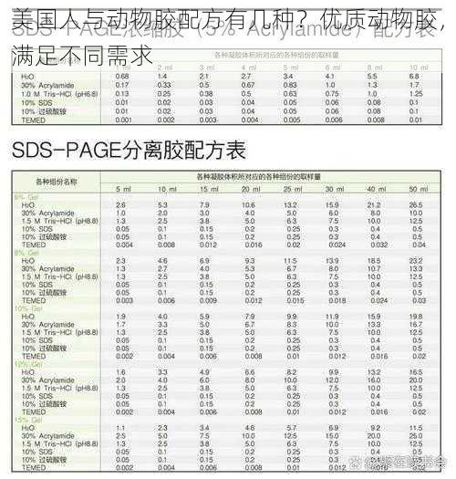 美国人与动物胶配方有几种？优质动物胶，满足不同需求