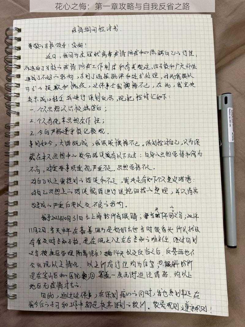 花心之悔：第一章攻略与自我反省之路