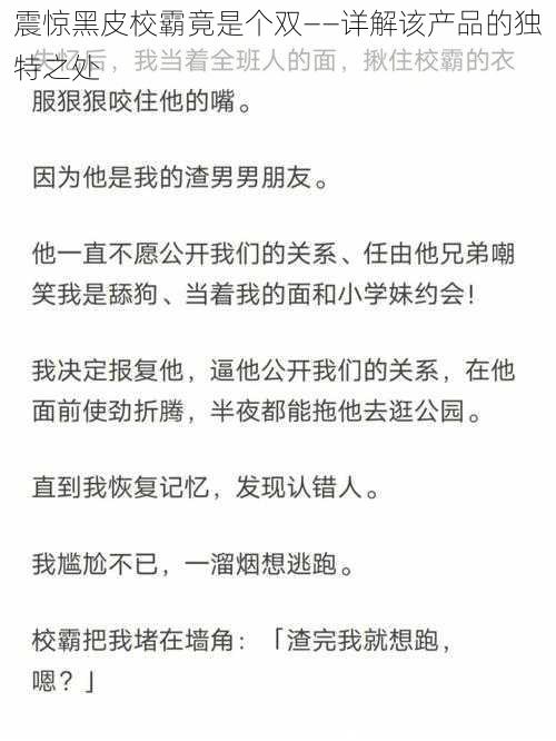 震惊黑皮校霸竟是个双——详解该产品的独特之处