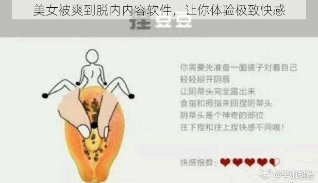 美女被爽到脱内内容软件，让你体验极致快感