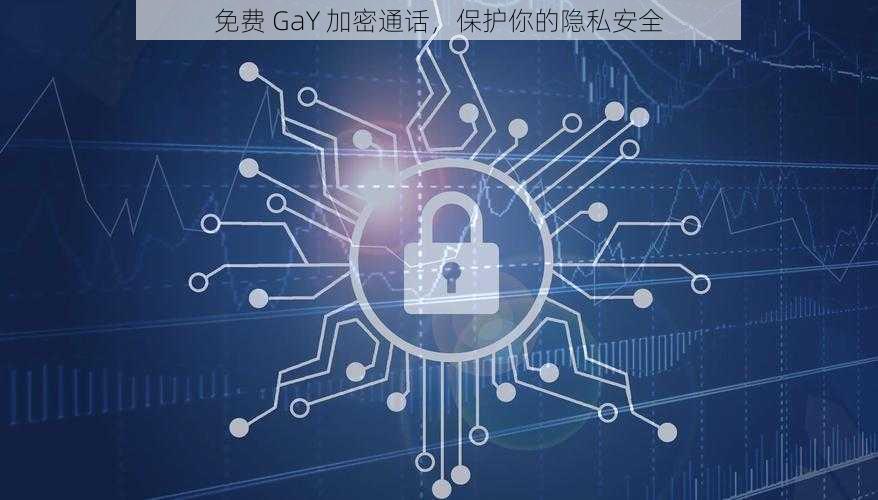 免费 GaY 加密通话，保护你的隐私安全