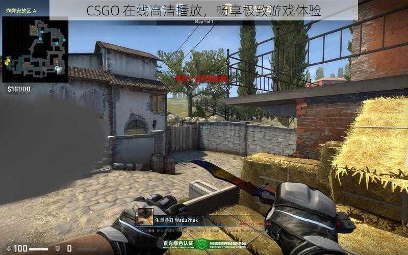 CSGO 在线高清播放，畅享极致游戏体验