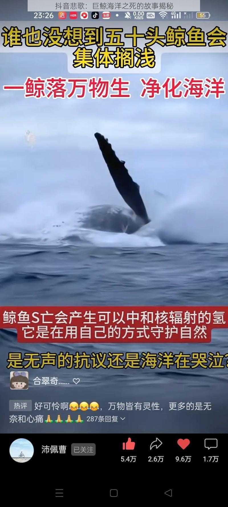 抖音悲歌：巨鲸海洋之死的故事揭秘