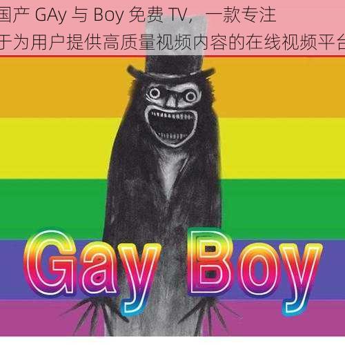 国产 GAy 与 Boy 免费 TV，一款专注于为用户提供高质量视频内容的在线视频平台