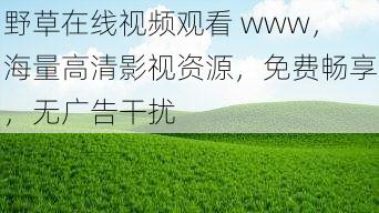 野草在线视频观看 www，海量高清影视资源，免费畅享，无广告干扰