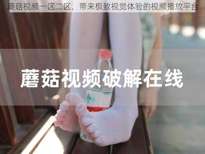 蘑菇视频一区二区，带来极致视觉体验的视频播放平台