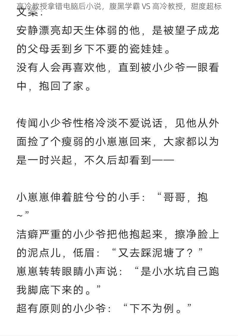 高冷教授拿错电脑后小说，腹黑学霸 VS 高冷教授，甜度超标