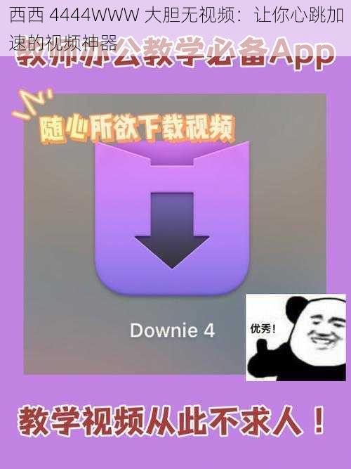 西西 4444WWW 大胆无视频：让你心跳加速的视频神器