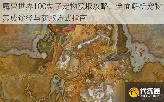 魔兽世界100栗子宠物获取攻略：全面解析宠物养成途径与获取方式指南