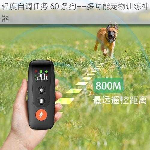 轻度自调任务 60 条狗——多功能宠物训练神器