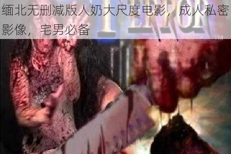 缅北无删减版人奶大尺度电影，成人私密影像，宅男必备