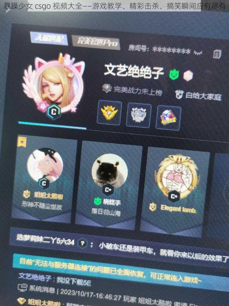 暴躁少女 csgo 视频大全——游戏教学、精彩击杀、搞笑瞬间应有尽有