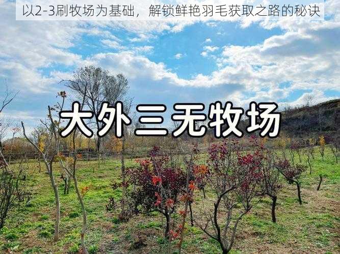 以2-3刷牧场为基础，解锁鲜艳羽毛获取之路的秘诀