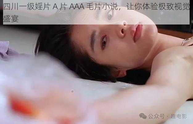 四川一级婬片 A 片 AAA 毛片小说，让你体验极致视觉盛宴