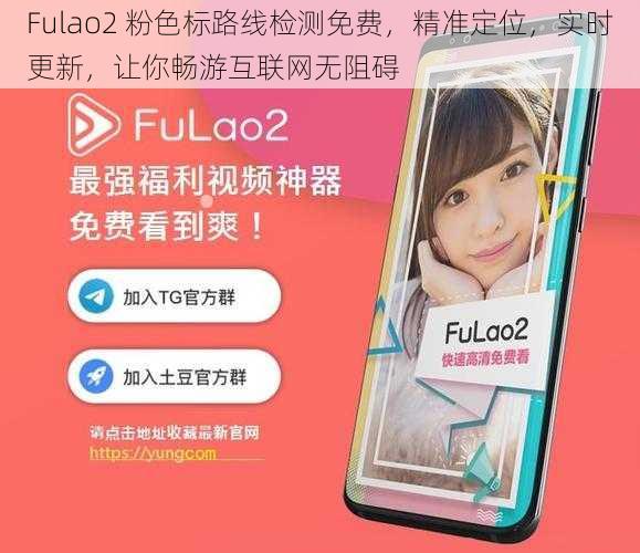 Fulao2 粉色标路线检测免费，精准定位，实时更新，让你畅游互联网无阻碍