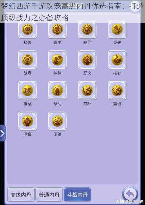 梦幻西游手游攻宠高级内丹优选指南：打造顶级战力之必备攻略