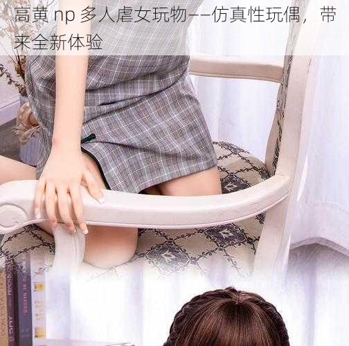 高黄 np 多人虐女玩物——仿真性玩偶，带来全新体验