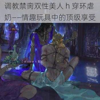 调教禁脔双性美人 h 穿环虐奶——情趣玩具中的顶级享受