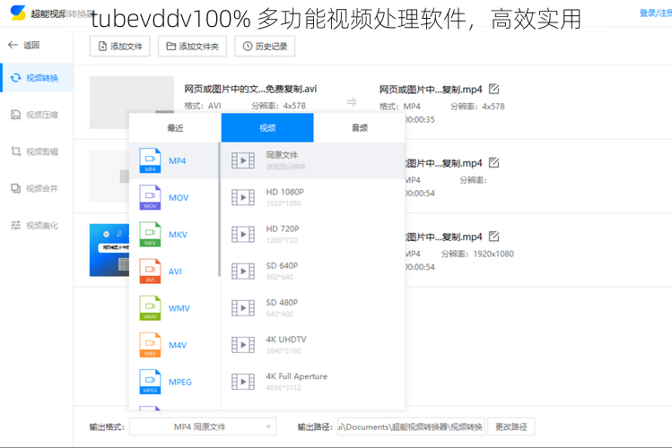 tubevddv100% 多功能视频处理软件，高效实用