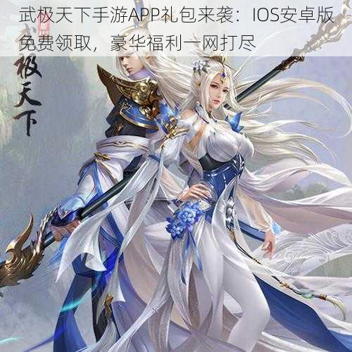 武极天下手游APP礼包来袭：IOS安卓版免费领取，豪华福利一网打尽