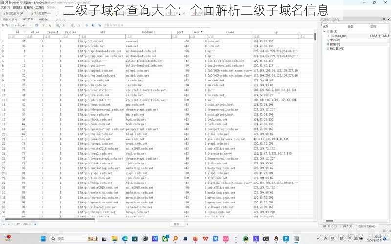 二级子域名查询大全：全面解析二级子域名信息