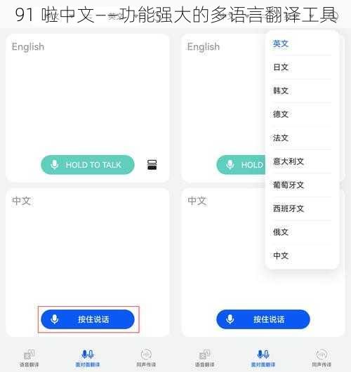 91 啦中文——功能强大的多语言翻译工具