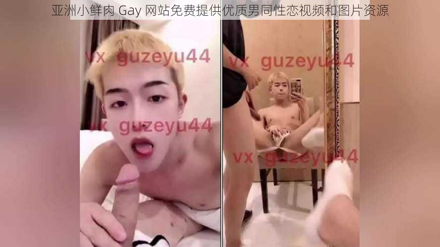 亚洲小鲜肉 Gay 网站免费提供优质男同性恋视频和图片资源