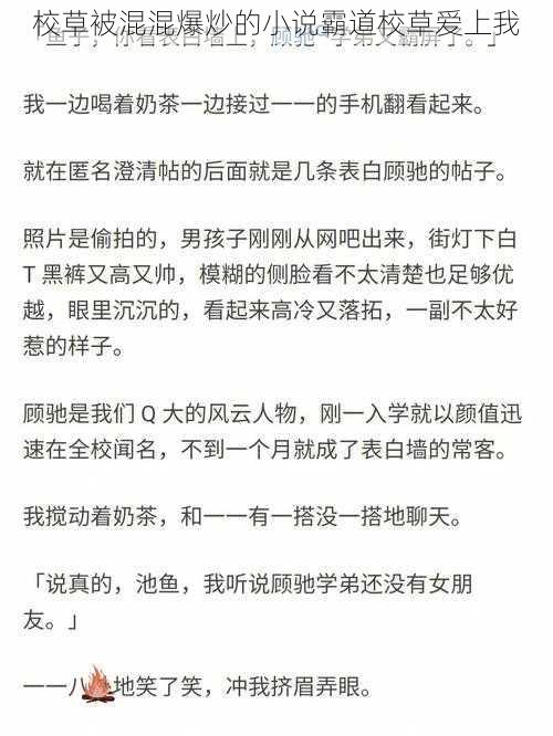 校草被混混爆炒的小说霸道校草爱上我