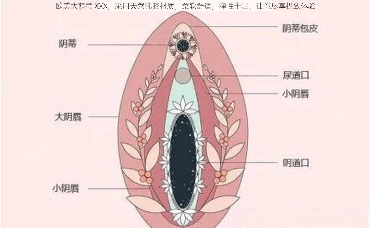 欧美大荫蒂 XXX，采用天然乳胶材质，柔软舒适，弹性十足，让你尽享极致体验