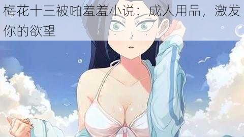 梅花十三被啪羞羞小说：成人用品，激发你的欲望