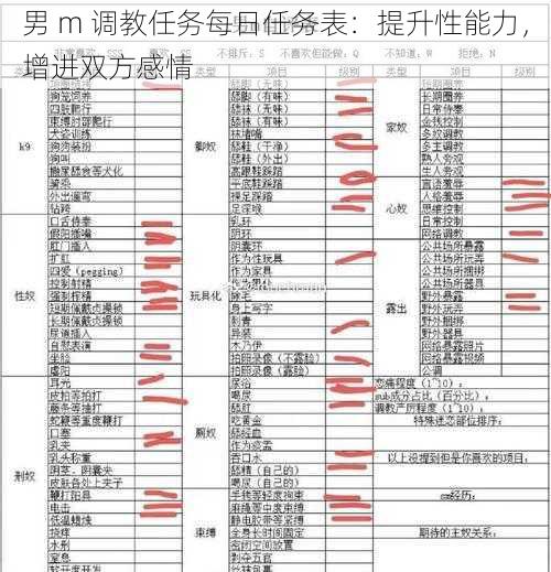 男 m 调教任务每日任务表：提升性能力，增进双方感情